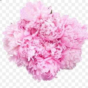 👠👗POSH AMBASSADOR- WELCOME👗👠